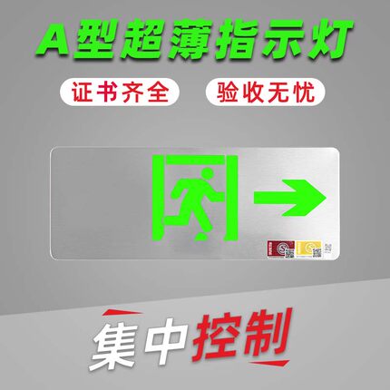 A型智能集中控制24V36V消防联动应急灯照明疏散指示灯EPS供电系统