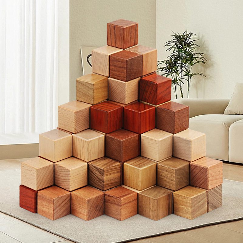 STEAM高档实木教具（大中小号）