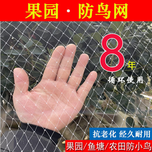 果园阳台防鸟网丝网天网罩