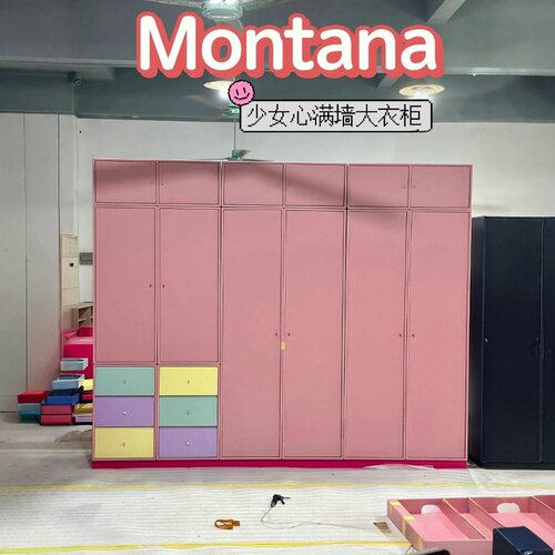 Montana 多巴胺衣柜卧室储物柜中古大容量衣柜收纳柜组合烤漆定制