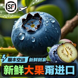 精选品种L25脆甜花香大蓝莓 高原花香蓝莓鲜果礼盒装 顺丰空运