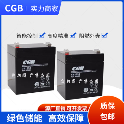 武汉长光CGB蓄电池CB1250 CB1240 CB1270西奥电梯 消防应急12V5AH