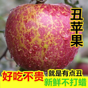 大梁山盐源县冰糖心丑苹果四川大凉山野生嘎啦苹果应季水果包邮9