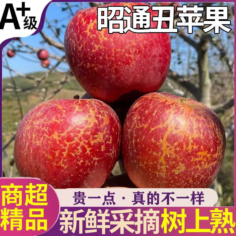 云南昭通丑苹果冰糖心脆甜应当季新鲜糖心平果孕妇水果整箱包邮