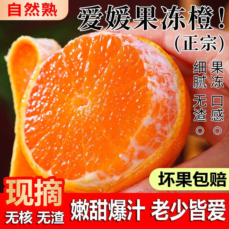 正宗爱媛38号果冻橙子酸甜多汁高山当季应季水果薄皮榨汁整箱