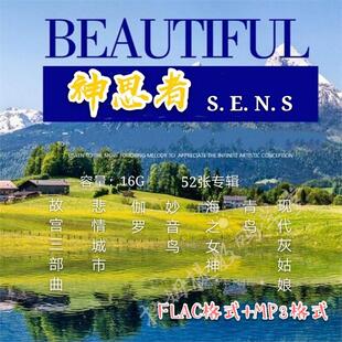 分轨整轨 神思者MP3 FLAC格式 轻音乐合集发烧碟 MP3 静心减压FLAC
