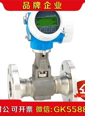 Proline Prowirl F 200 涡街流量计配件 议价