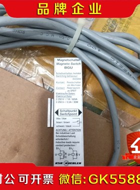 BGU Magnetschalter MagneticSw议价