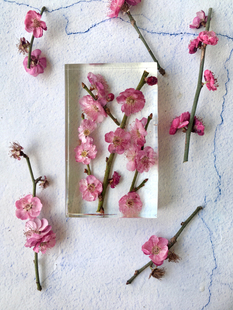 【梅花镇纸】滴胶手工摆件包红梅标本创意摆件节日礼盒520七夕