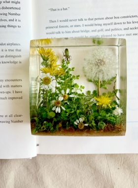【蒲公英绿色】永生花干花摆件送女友闺蜜生日情人节礼物 8x8x4cm