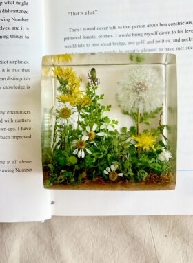 【蒲公英绿色】永生花干花摆件送女友闺蜜生日情人节礼物 8x8x4cm