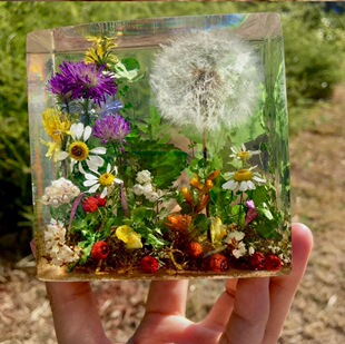【蒲公英彩色】摆件干花水晶滴胶情人七夕节创意摆件送女友送闺蜜