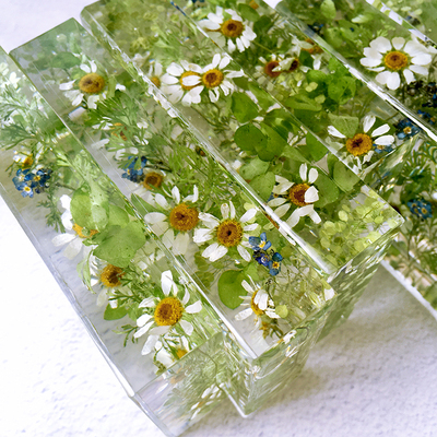 【小森林】镇纸植物标本摆件树脂干花节日礼物 尺寸：10x6x2cm