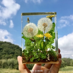 尺寸：10x7x3cm 镇纸滴胶手工材料包节日礼物 蒲公英长方形