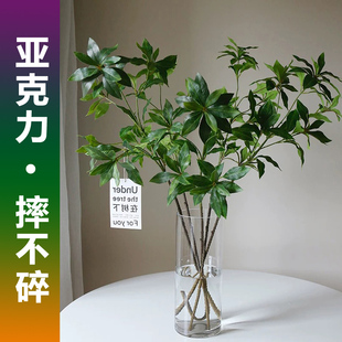 直筒亚克力塑料花瓶水培马醉木吊钟南天竹美男树雪柳龙柳专用器皿