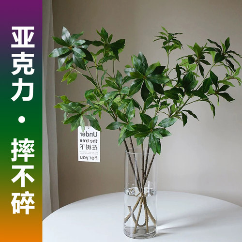 亚克力花瓶水培马醉木南天竹专用