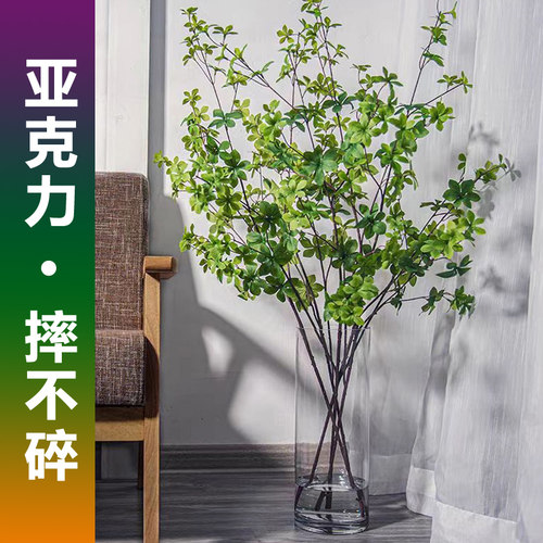 亚克力花瓶水培马醉木南天竹专用