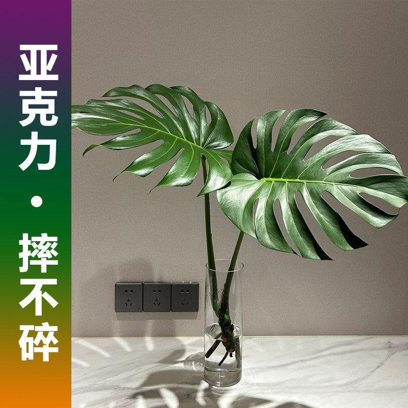 亚克力花瓶水培龟背竹龙鳞春雨羽图片