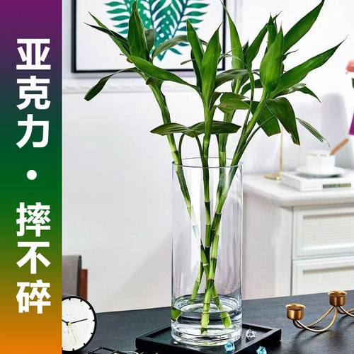 亚克力花瓶水培富贵竹龙竹文昌竹