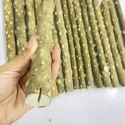 天然野生花椒木鹩哥八哥画眉鹦鹉用品鸟站棍站杆磨爪棍鸟笼配件