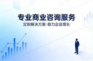 商业咨询服务