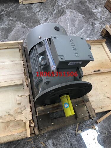 电机11KW.  1LE0002-1DB23-3FA4
