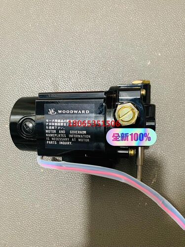 Woodward governor motor