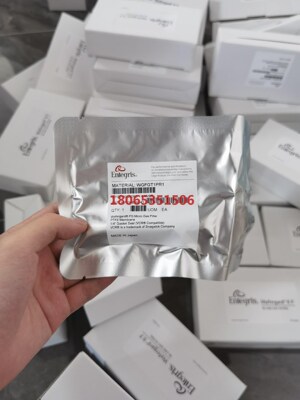 美国ENTEGRIS英特格1/4不锈钢过滤器WGFGT1PR
