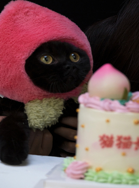 catplease宠物头套寿桃帽子装饰猫咪狗狗可爱头套拍照道具生日帽