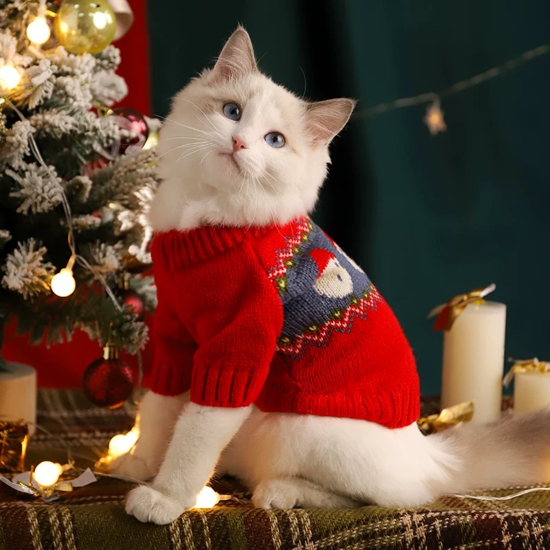 猫咪衣服秋冬保暖防掉毛布偶衣服