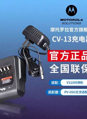 v318充电器Magonevz10