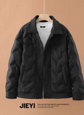 介乙灰鸭绒纯色翻领羽绒服