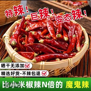 魔鬼辣椒印度魔鬼椒s17干辣椒超辣特辣巨辣整节粉面5斤