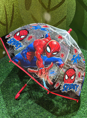 儿童蜘蛛侠透明雨伞超轻卡通蜘蛛人遮雨伞直柄伞推拉防夹手男孩子