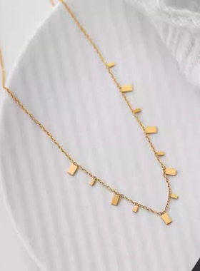百搭流苏长方形小片项链颈链