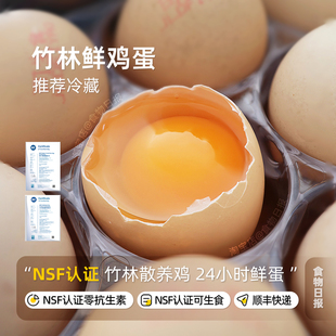 食物日报 可生食鸡蛋 NSF国际标准认证谷饲喂养 不含抗生素 0激素