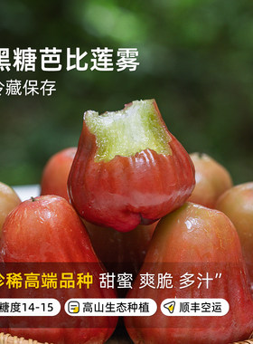 海南黑糖芭比莲雾当季新鲜