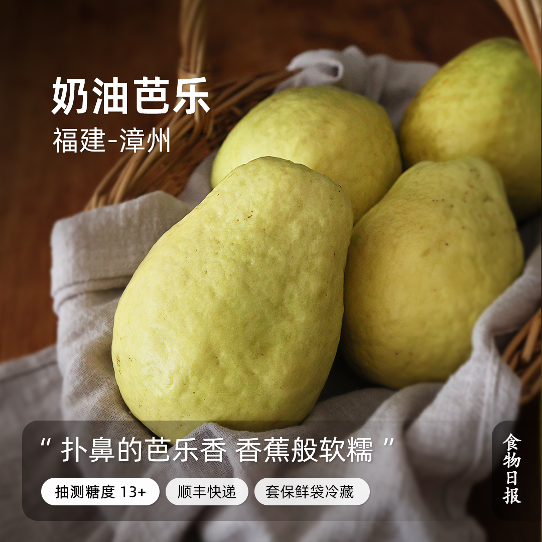 奶油芭乐盐碱地种植香浓软糯