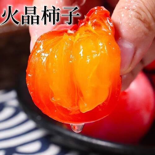 火晶柿子嫁接无核火晶罐柿子树苗南北方庭院阳台盆栽当年结果耐寒