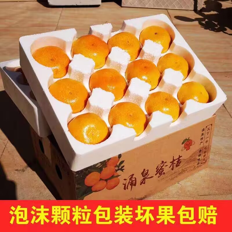 浙江临海整箱蜜桔当季新鲜水果