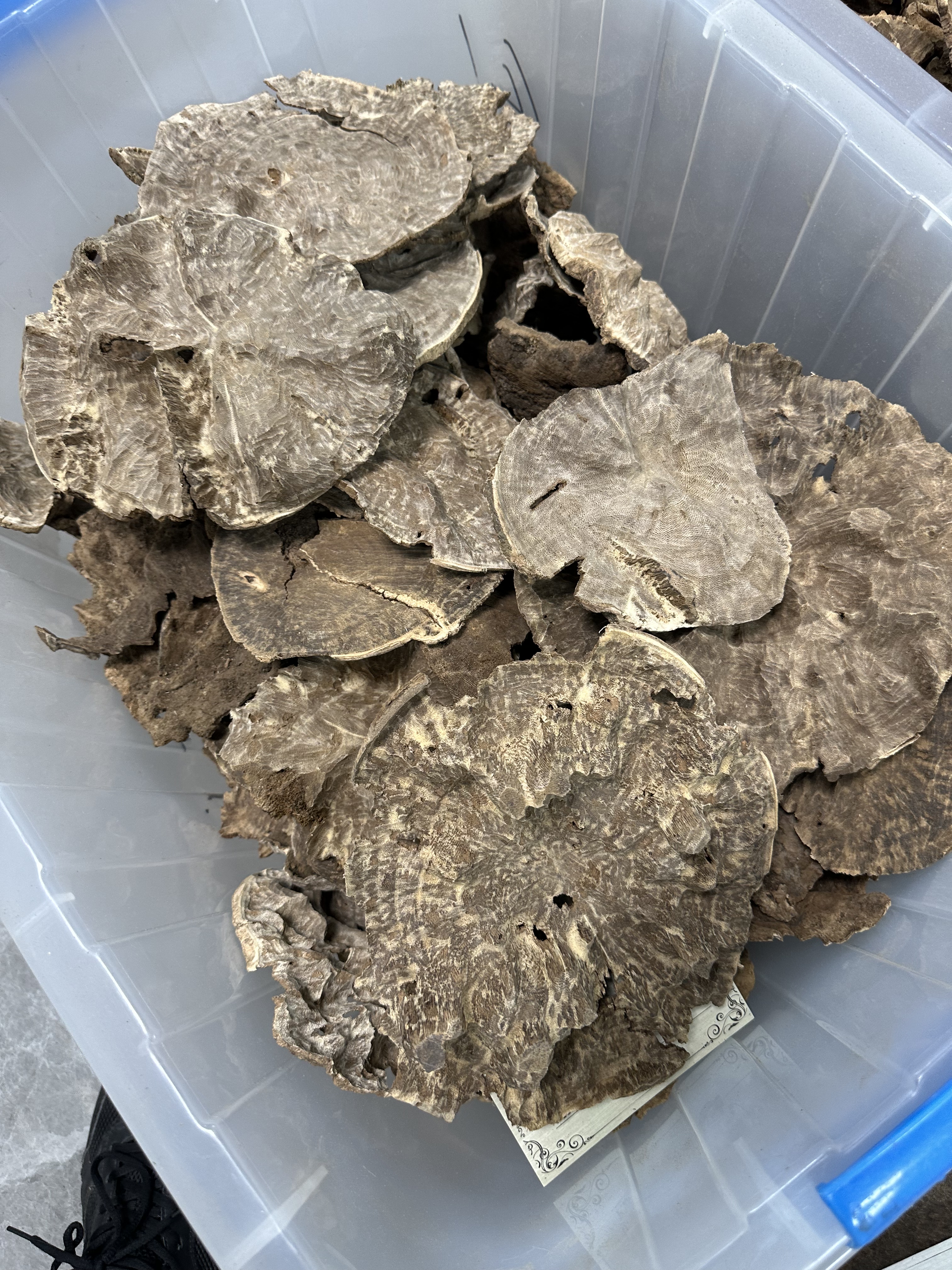 海南野沉香老板头原材料熏香熏DIY高端香品摆件香道助眠安神老料