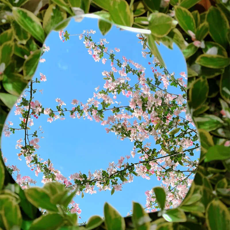 镜子里的世界也在百花齐放~~亚克力软镜子安全不易碎