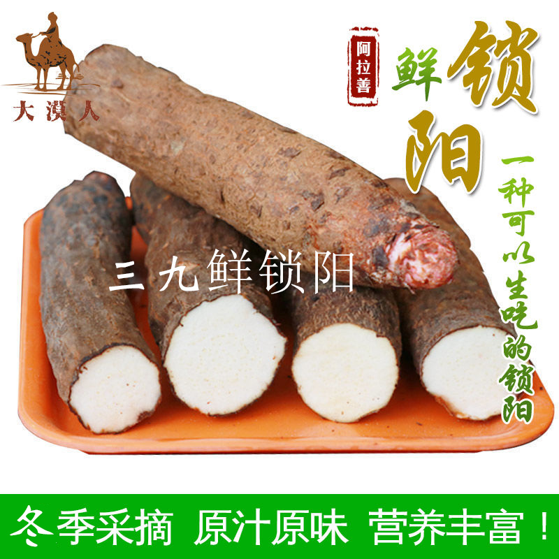 锁阳新鲜正宗内蒙古阿拉善整根500g搭中药材肉苁蓉切片泡茶泡酒料