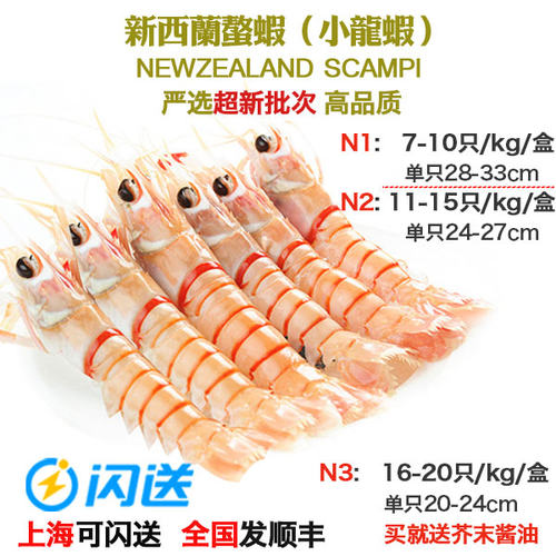 新批次进口scampi新西兰刺身螯虾
