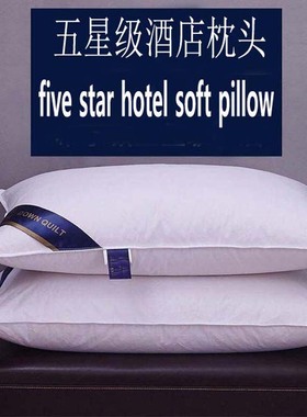 Hotel pillow five-star bed soft pillows core 软五星酒店枕头