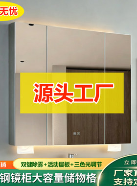 不锈钢浴室镜柜挂墙式带灯镜面柜