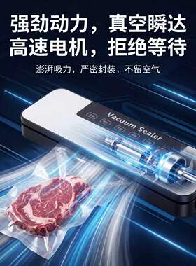 定制俄文欧规真空包装机全自动真空封口机厨房小型大吸力真空机