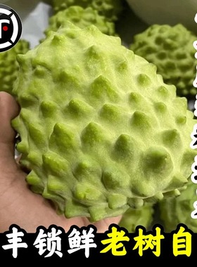 顺丰包邮释迦果番荔枝1/2/3/5斤凤梨牛奶佛头果林檎摩尼果当季果