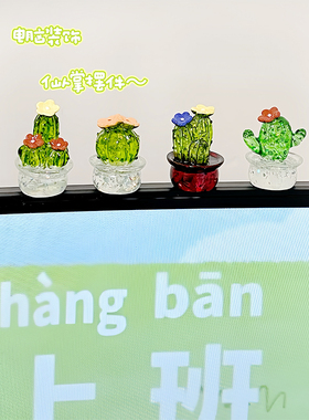 可爱玻璃仙人掌多肉精致迷你工位