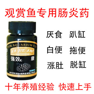 肠炎灵鱼用厌食拖便水族锦鲤观赏金鱼肠炎鱼药大白片炸鳞白便净水